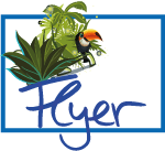 Workshop: Studienwahl / Flyerbild