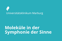 Universitätsklinikum Marburg, Hessen