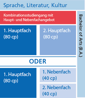 Schaubild: Studienaufbau (alle Informationen auch im Text)
