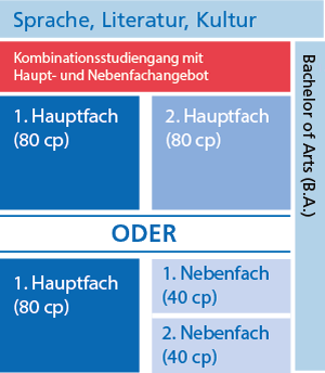 Schaubild: Studienaufbau (alle Informationen auch im Text)