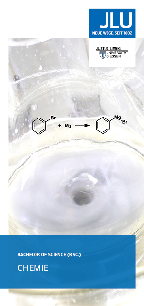 Bild B. Sc. Chemie, Molekül im Gittermodell