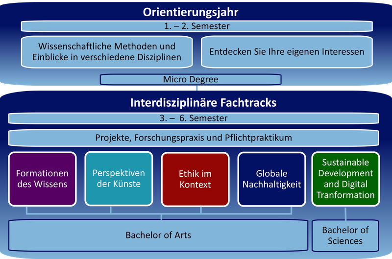 Liberal Arts & Sciences Studienaufbau