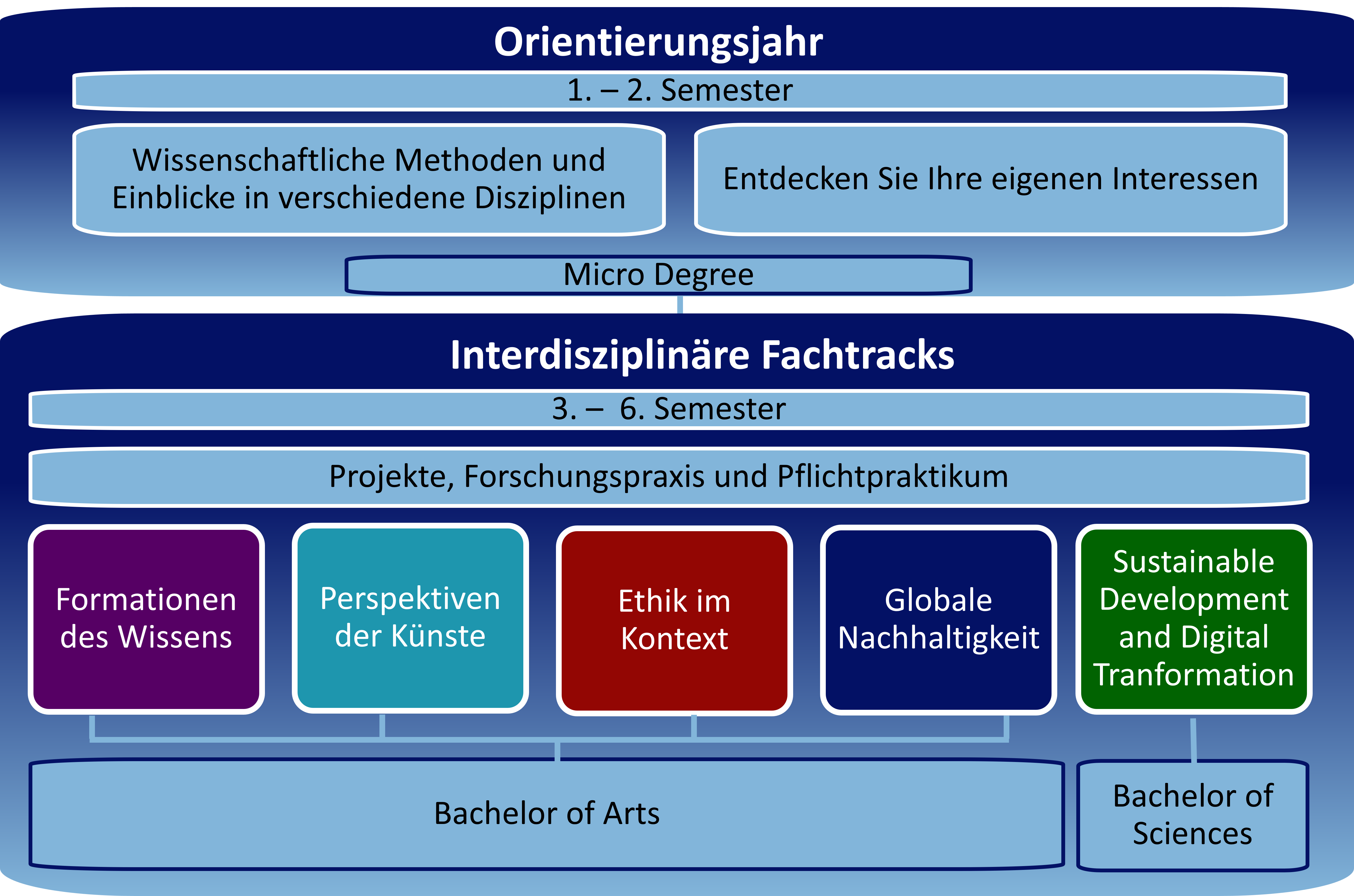 Liberal Arts & Sciences Studienaufbau