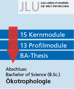 Ablaufplan (B.Sc. Oekotrophologie)