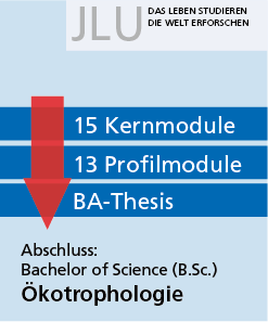 Ablaufplan (B.Sc. Oekotrophologie)