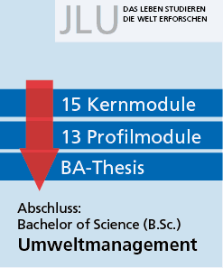 Studienaufbau, Grafik