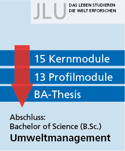 Studienaufbau, Grafik
