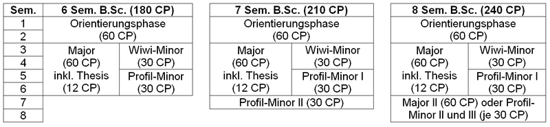 Wiwi-Studienverlaufsplan