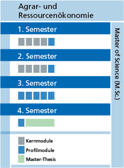 Grafik zur Illustration des Studienablaufs (alle Informationen auch im Text)