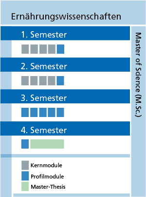 Grafik zur Illustration des Studienablaufs (alle Informationen auch im Text)