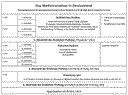 Ablauf Medizinstudium
