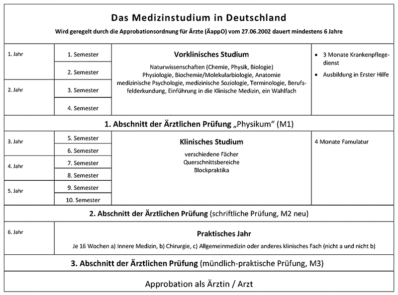 Ablauf Medizinstudium