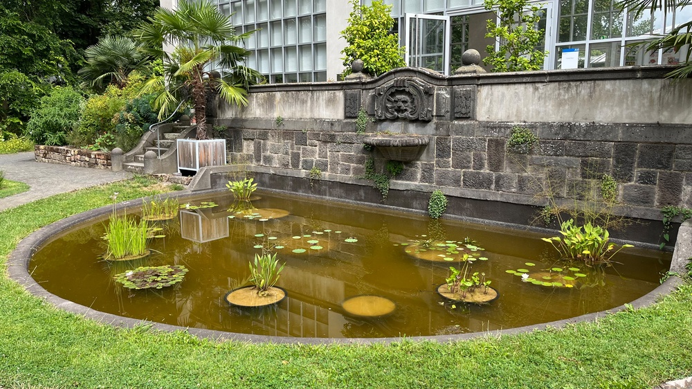 Historischer Brunnen mit Wasserpflanzen vor Gewächshaus