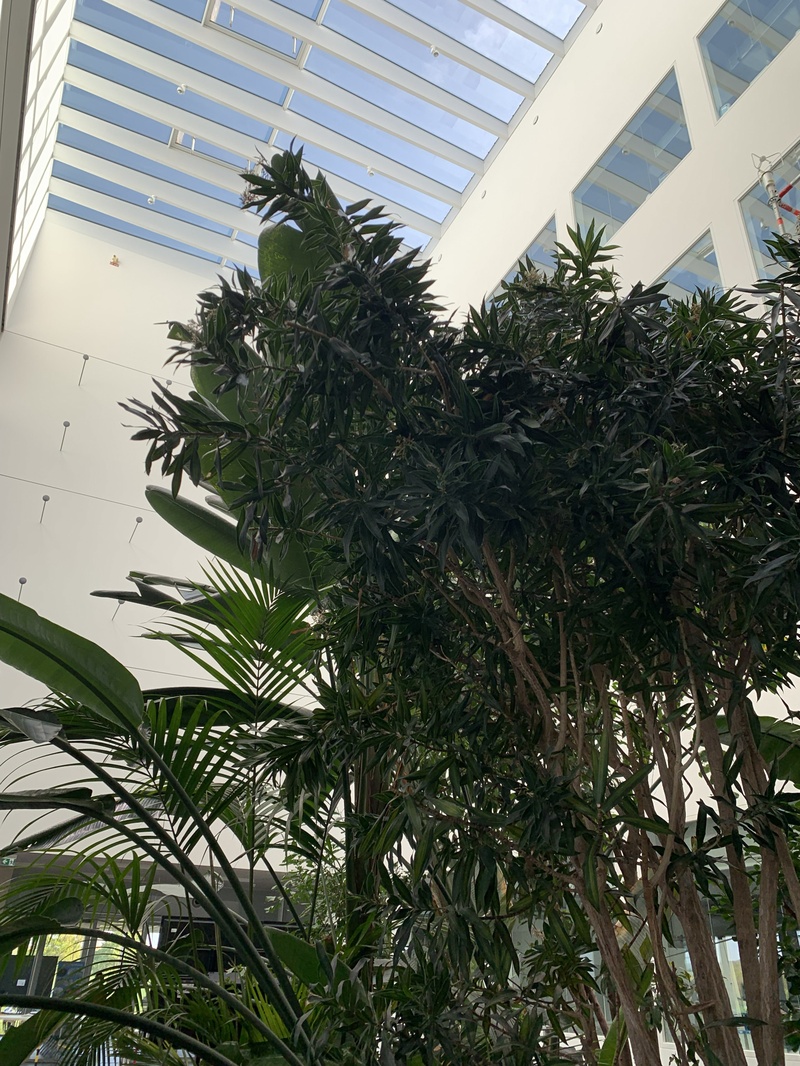 Alumni-Führung Fraunhofer_Atrium_S. Bromann.jpg