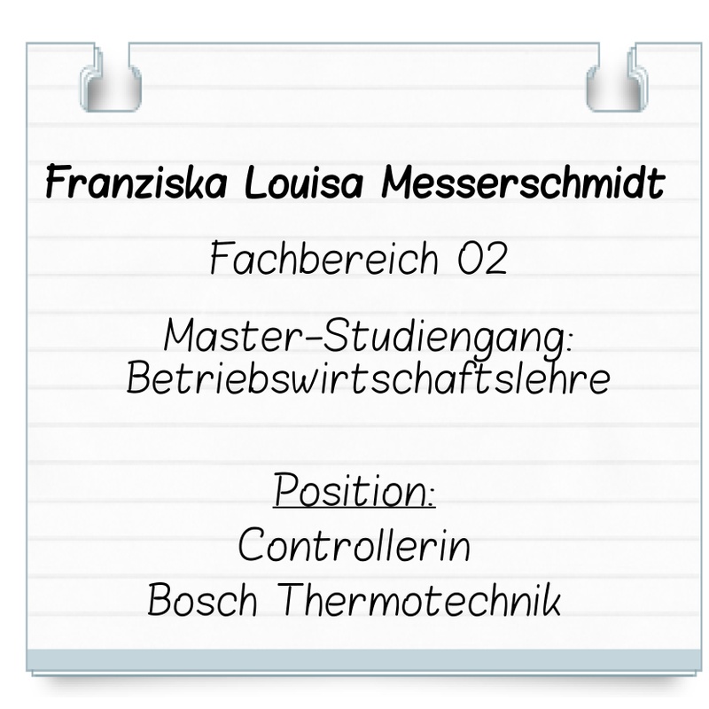 Steckbrief Messerschmidt