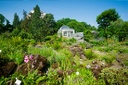 Botanischer Garten