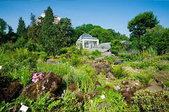 Schmuckgrafik: Botanischer Garten der JLU