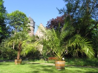 Gartensaspekt