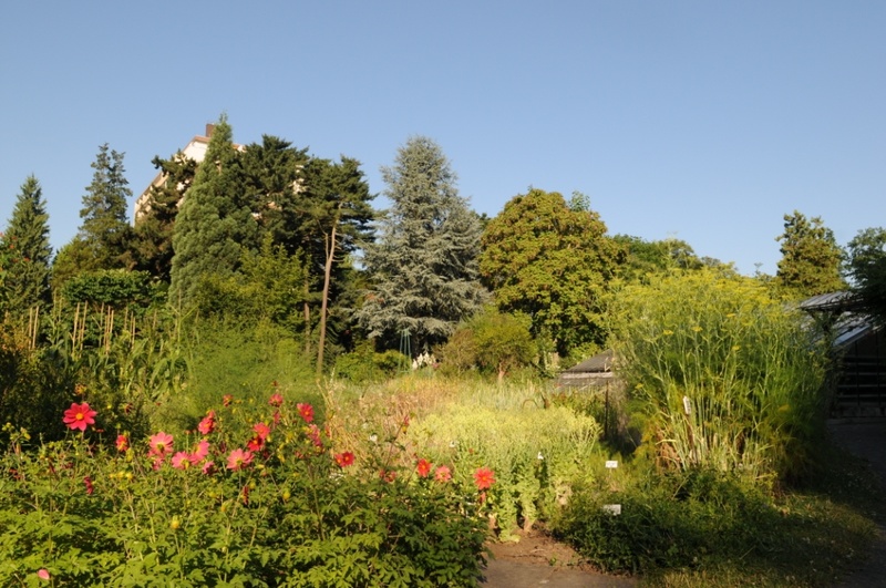 Kulturhistorischer Garten