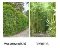 Geplante Bambusbepflanzung Evolutionsdenkpfad