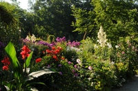 Bauerngarten