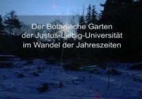 Video Anreißerbild