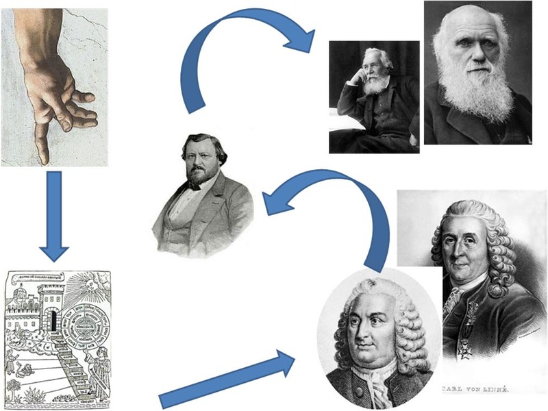 Geplante Büsten im Evolutionsdenkpfad