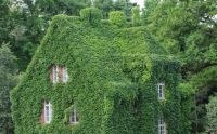 Grünes Haus
