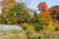 Herbstimpressionen