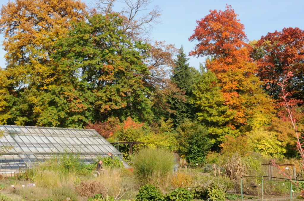 Herbstimpressionen
