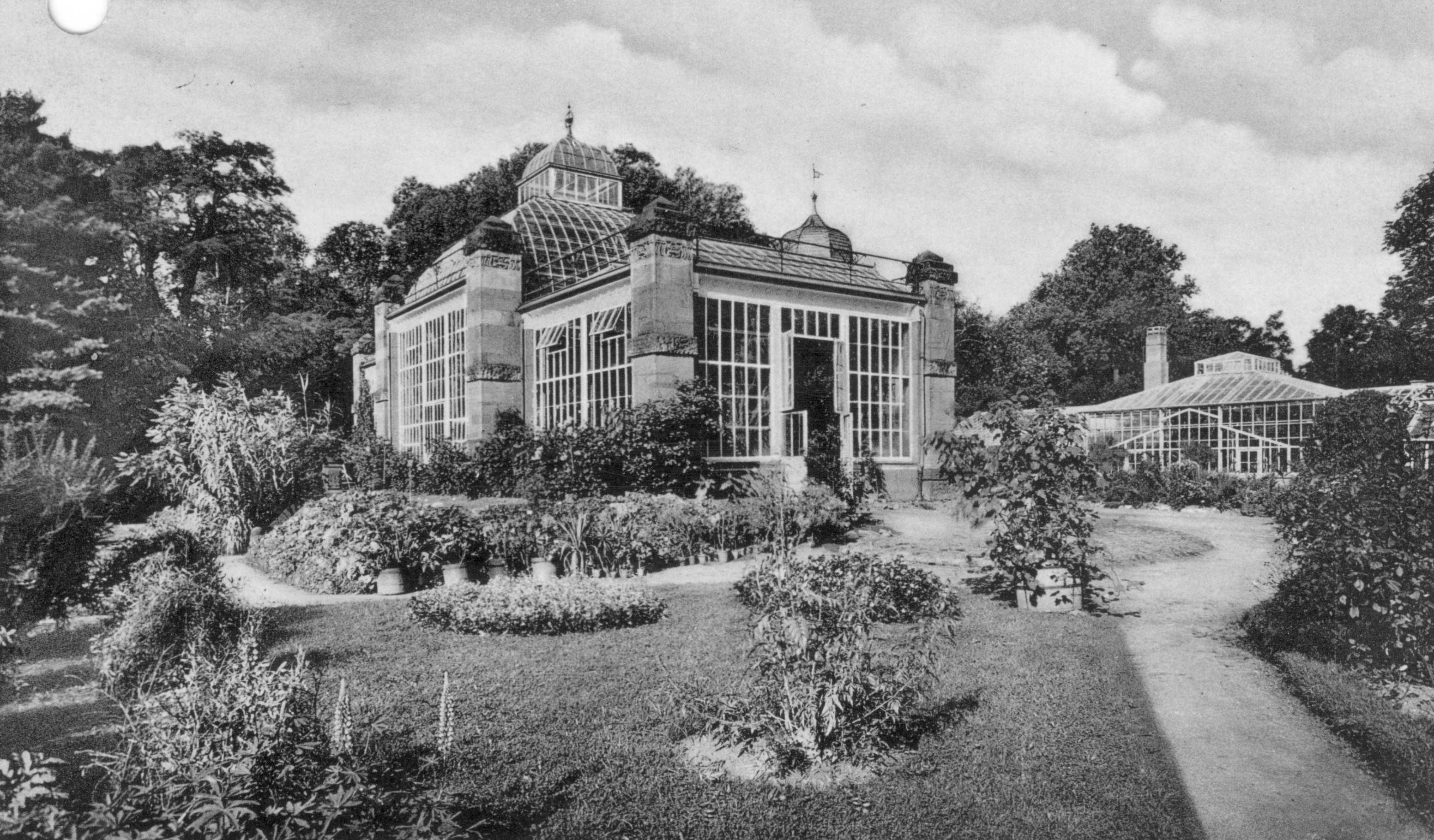 Historische Ansicht Palmenhaus