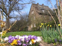 Frühling im Botanischen Garten