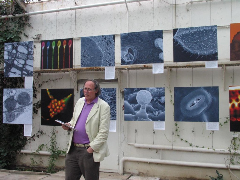 Professor Dr. Aart J. E. van Bel