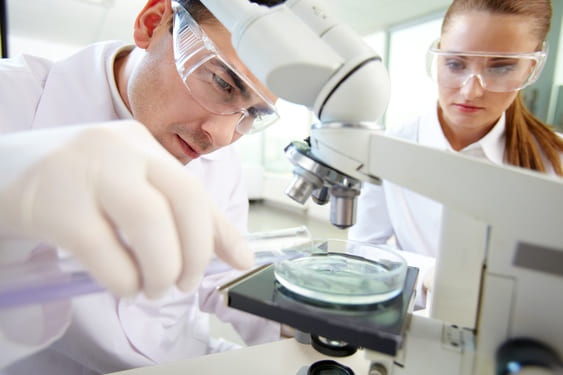 Wissenschaftliche Mitarbeiter und Mitarbeiterinnen (Foto: Colourbox.de/Pressmaster)