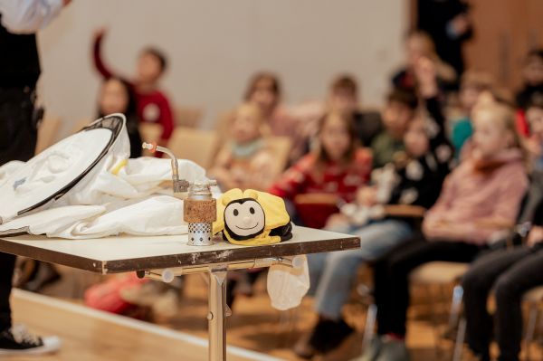 Bienen - Foto: Katrina Friese.jpg