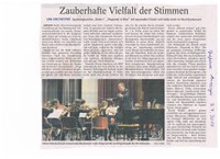 Konzert Sommersemester 2017 - Gießener Anzeiger.jpg