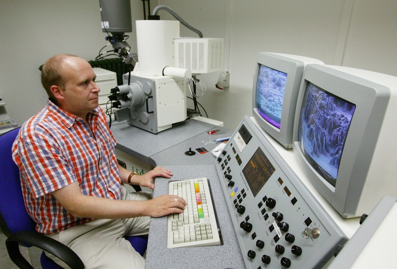 Arbeit am Rasterelektronenmikroskop