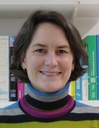 Prof. Sträßer