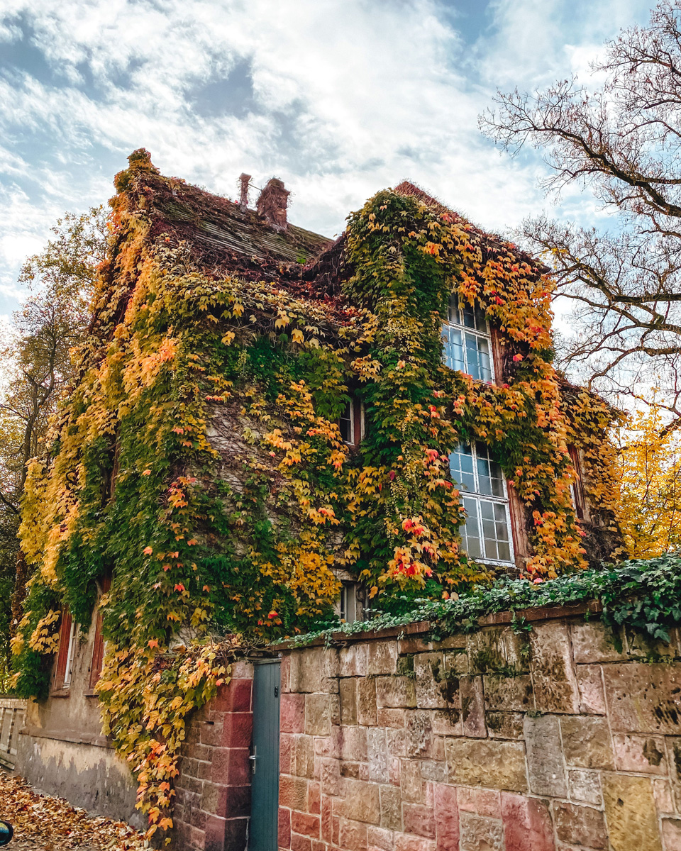 Botanischer Garten