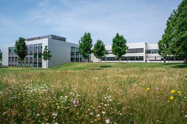 Moderne Instituts- und Hörsaalgebäude auf grüner Wiese und umgeben von Bäumen. Im Vordergrund eine Blühwiese.
