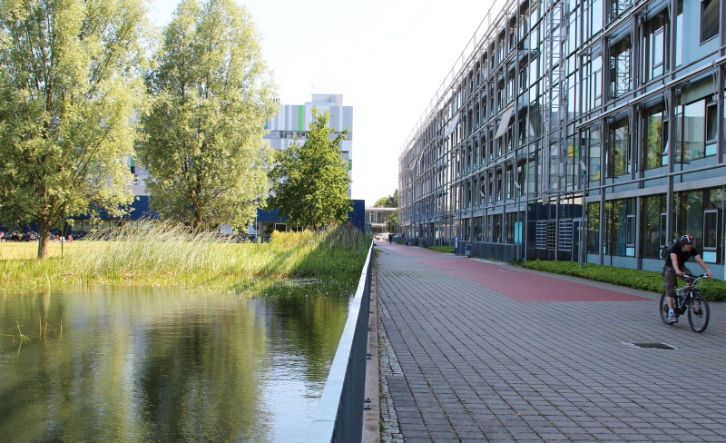 IFZ Physik