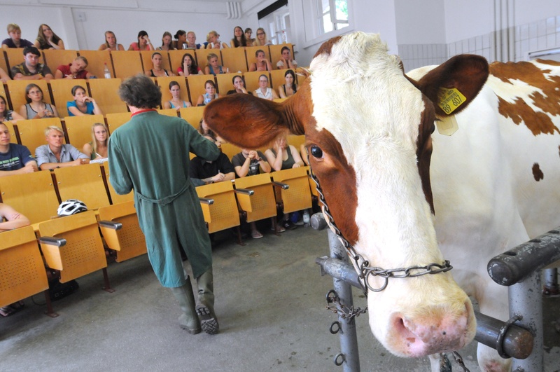 VetMed Wiederkaeuer