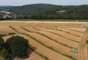 PM27-26 Agroforst_Gladbacherhof_FotoMichaelHauschild.JPG