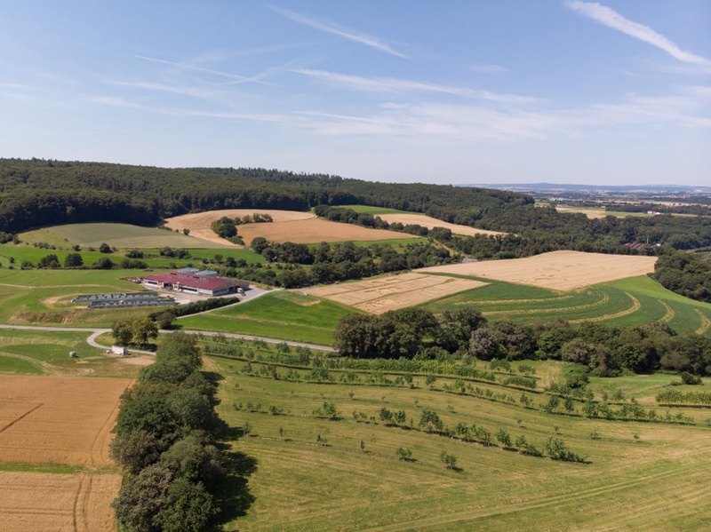 PM77-26 Agroforst Gladbacherhof_FotoTillSchuermann.jpg