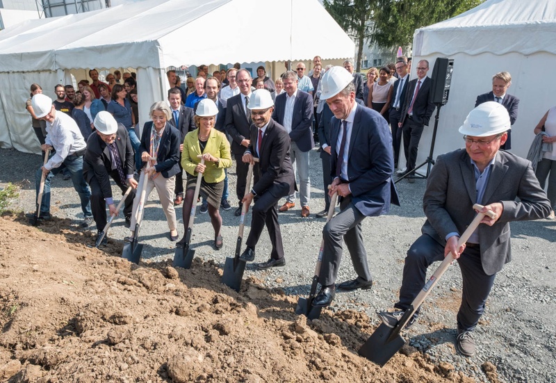 spatenstichpflanze