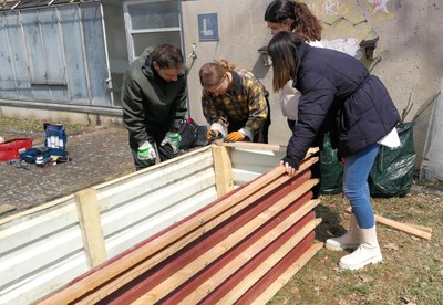 Studierende beim Bau eines Hochbeets für den Campusgarten am Philosophikum II. Foto: York Kautt