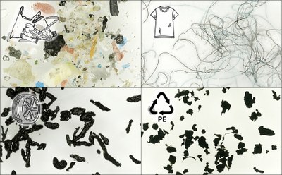 The four microparticle mixtures studied: Plastic waste from the environment (top left), synthetic fibers from clothing (top right), tire abrasion (bottom left) and polyethylene microplastics (bottom right). Photos: Vanessa Tirpitz