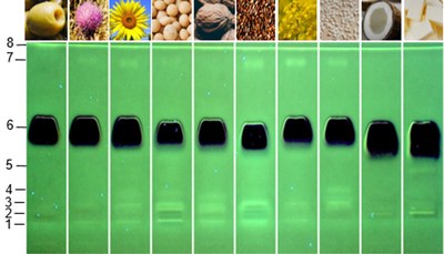 Die Wirkstoffprofile der Pflanzenöle zeigen genotoxische Verbindungen als grüne Fluoreszenzzonen. Grafik: „Food Chemistry“ (DOI: 10.1016/j.foodchem.2022.135253) mit Genehmigung von Elsevier