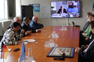 Online-Meeting