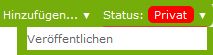 Veröffentlichen